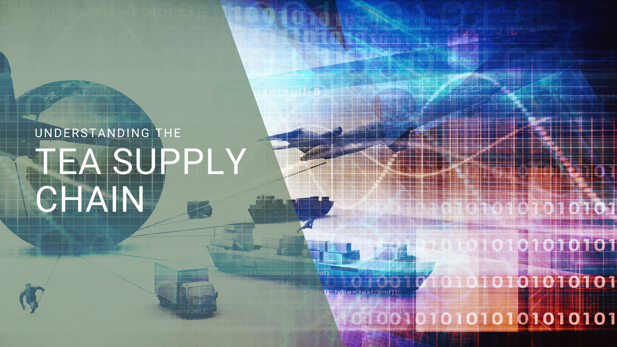 Tea Supply Chain Steeped Content